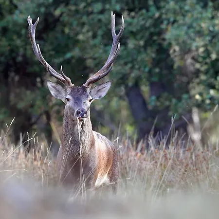 Farm stay Casa Da Portela