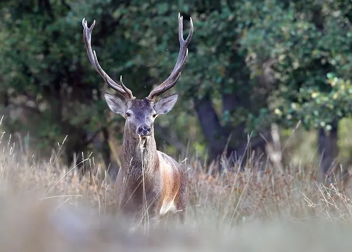 مزرعة للإقامة Casa Da Portela