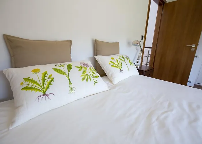 Casa Da Portela ريو دي أونور